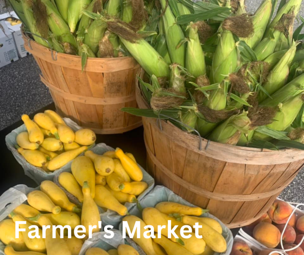 Corn and squash in bowl