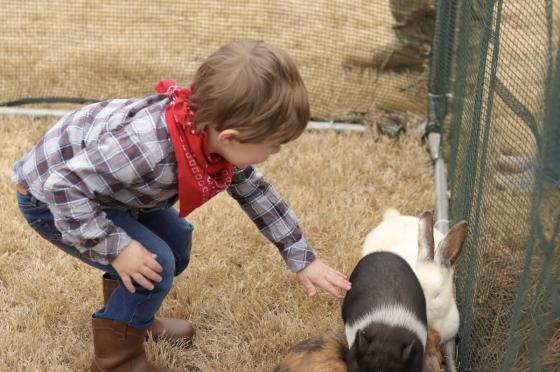 Child petting animal at Cowboy Day 2022