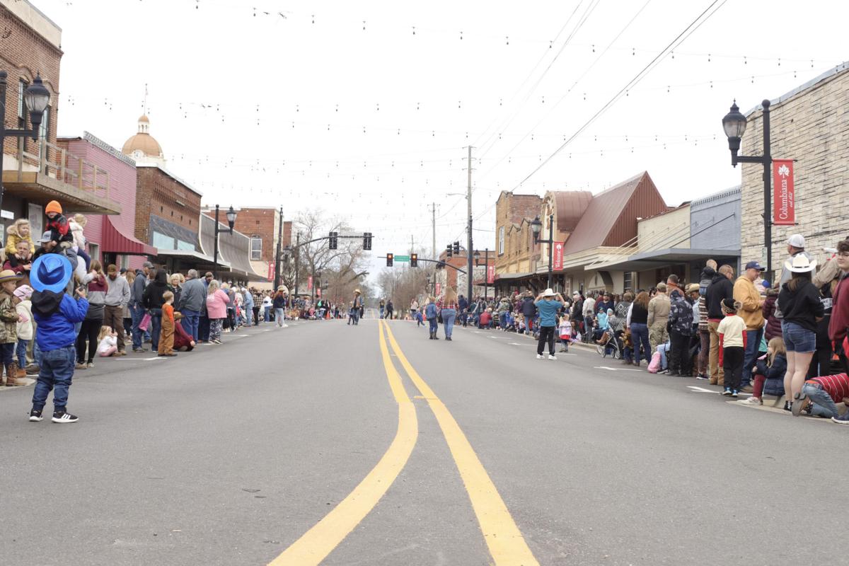 Street view of Columbiana Main Street