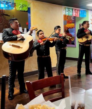 Mirachi Band Blue Agave