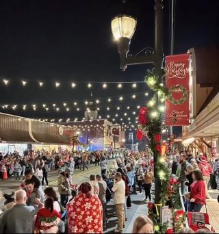 Crowd at Christmas Parade